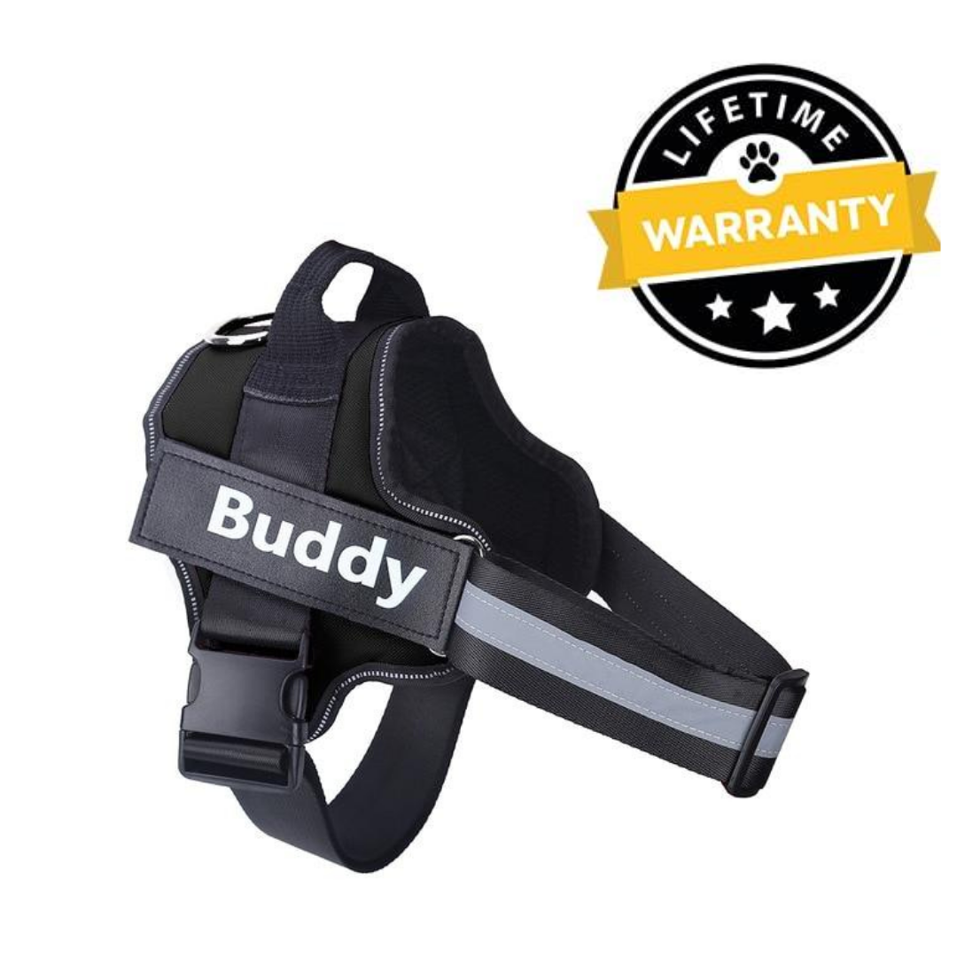 Personalized No Pull Dog Harness