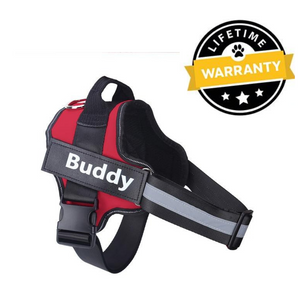 Personalized No Pull Dog Harness