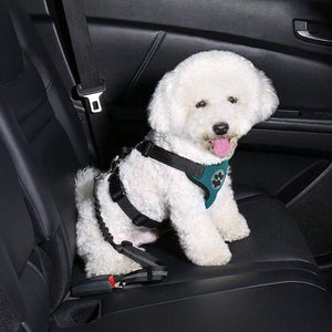 DogClip Seat Belt
