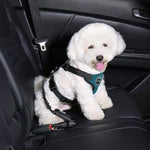 Dog Clip Seat Belt