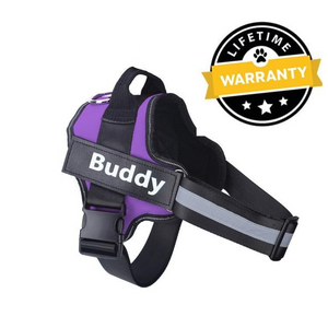 Personalized No Pull Dog Harness