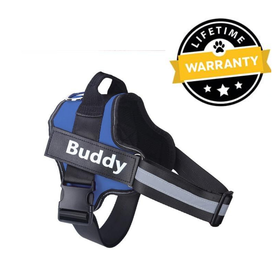 Personalized No Pull Dog Harness