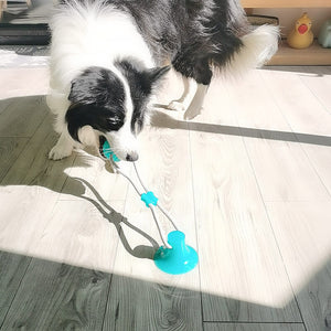 TUG TOY™ - Suction Cup Dog Toy