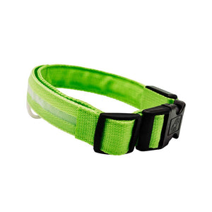 Dog LED Collar