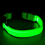 Dog LED Collar