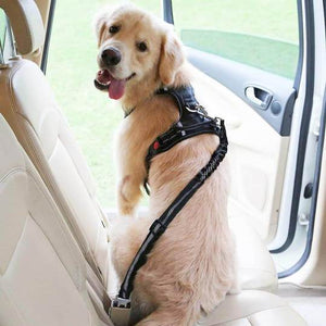 DogClip Seat Belt